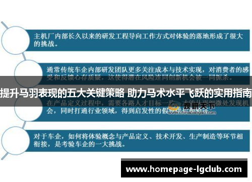 提升马羽表现的五大关键策略 助力马术水平飞跃的实用指南