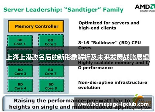 上海上港改名后的新形象解析及未来发展战略展望
