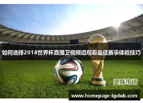 如何选择2018世界杯直播卫视频道观看最佳赛事体验技巧