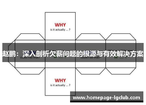 赵鹏：深入剖析欠薪问题的根源与有效解决方案