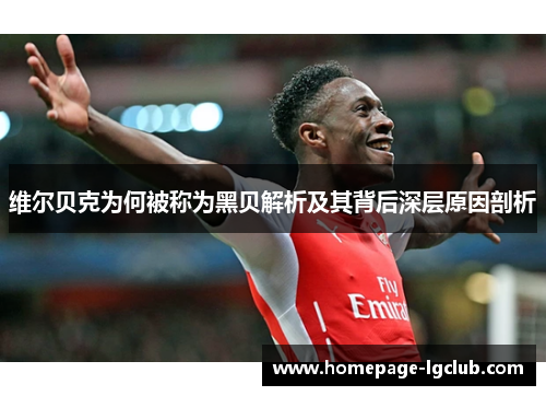 维尔贝克为何被称为黑贝解析及其背后深层原因剖析