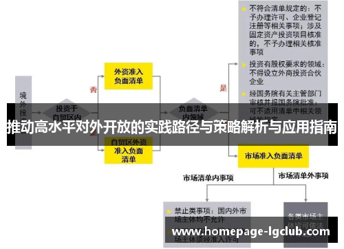 推动高水平对外开放的实践路径与策略解析与应用指南